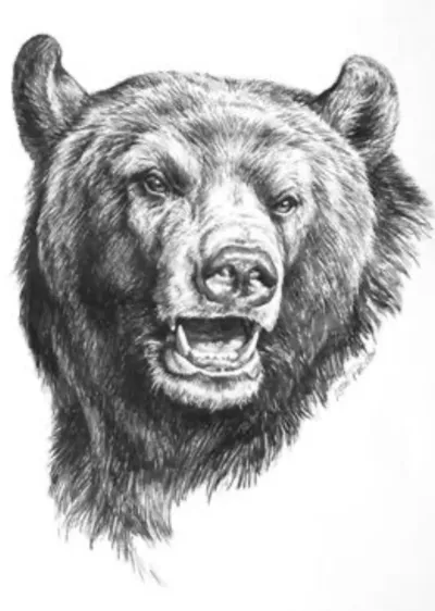 Black Bear Gallery